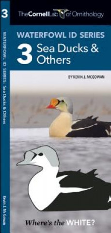 Cornell Lab of Ornithology Waterfowl ID 3 Sea Ducks & Others
