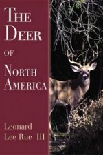 Deer of North America
