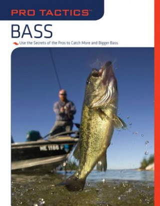 Pro Tactics (TM): Bass