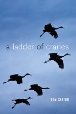 Ladder of Cranes