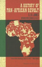 History Of Pan-african Revolt