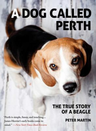 Dog Called Perth