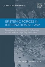 Epistemic Forces in International Law - Foundational Doctrines and Techniques of International Legal Argumentation