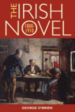 Irish Novel 1800-1910