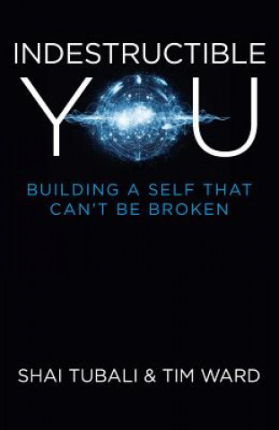 Indestructible You - Building a Self that Can`t be Broken