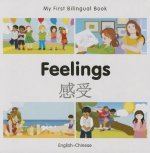 My First Bilingual Book - Feelings - Chinese-english
