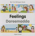 My First Bilingual Book -  Feelings (English-Somali)