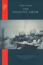 Undying Grass