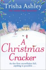 Christmas Cracker