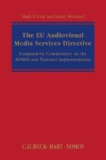 EU Audiovisual Media Services Directive