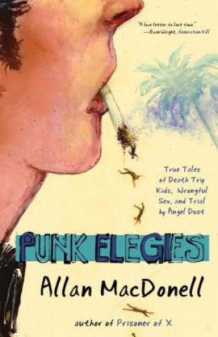 Punk Elegies