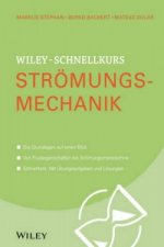 Wiley-Schnellkurs Stromungsmechanik