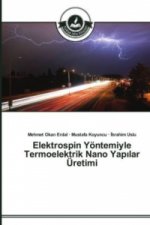 Elektrospin Yoentemiyle Termoelektrik Nano Yapılar UEretimi
