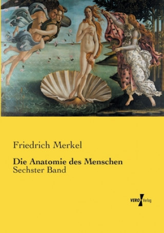 Anatomie des Menschen