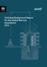 Technical background report for the global mercury assessment 2013