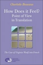 How Does it Feel? Point of View in Translation