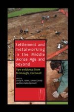 Settlement and Metalworking in the Middle Bronze Age and Beyond