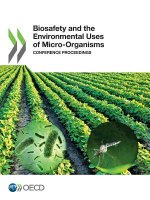Biosafety and the environmental uses of micro-organisms