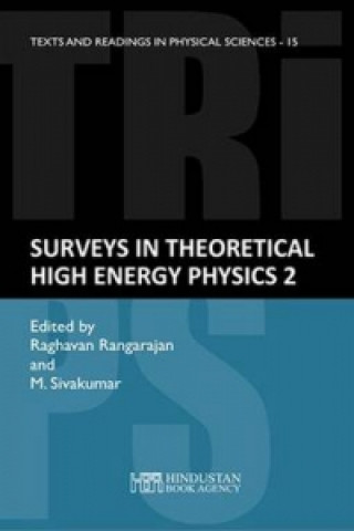 Surveys in Theoretical High Energy Physics-2