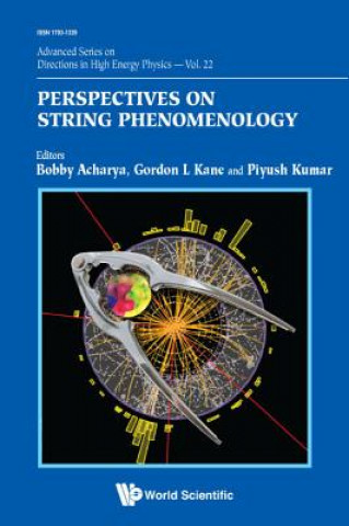 Perspectives On String Phenomenology