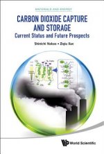Carbon Dioxide Capture And Storage: Current Status And Future Prospects