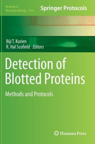Detection of Blotted Proteins