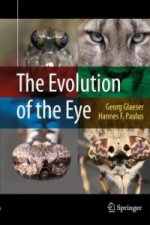 Evolution of the Eye