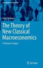 Theory of New Classical Macroeconomics