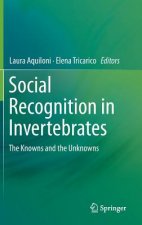 Social Recognition in Invertebrates