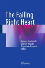 Failing Right Heart