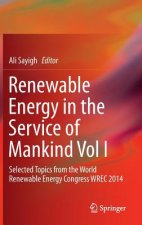 Renewable Energy in the Service of Mankind Vol I