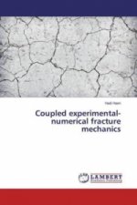 Coupled experimental-numerical fracture mechanics