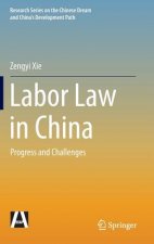 Labor Law in China