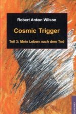 Cosmic Trigger 3. Bd.3