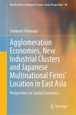 Agglomeration Economies and the Location of Japanese Investment in East Asia