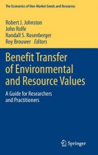 Benefit Transfer of Environmental and Resource Values