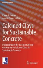 Calcined Clays for Sustainable Concrete
