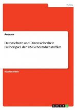 Datenschutz und Datensicherheit. Fallbeispiel der US-Geheimdienstaffare
