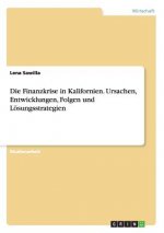 Die Finanzkrise in Kalifornien. Ursachen, Entwicklungen, Folgen und Lösungsstrategien