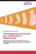 Teratogenesis producida por la Diabetes e Hipertermia