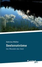 Seelenstroeme