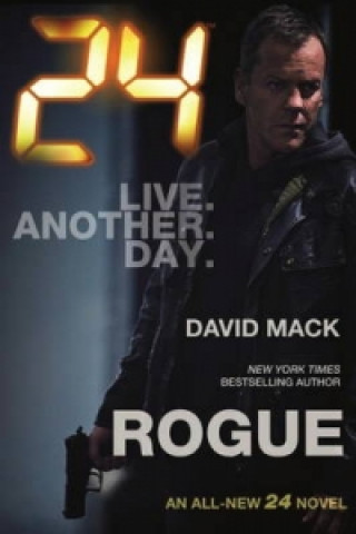 24 - Rogue