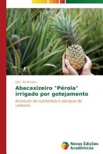 Abacaxizeiro Perola irrigado por gotejamento