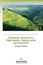 Селевая опасность Карач&