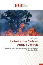 La Protection Civile En Afrique Centrale