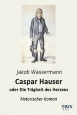 Caspar Hauser oder Die Trägheit des Herzens