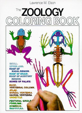 Zoology Colouring Book