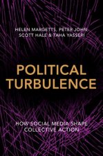 Political Turbulence