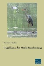 Vogelfauna der Mark Brandenburg