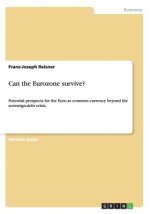 Can the Eurozone Survive?